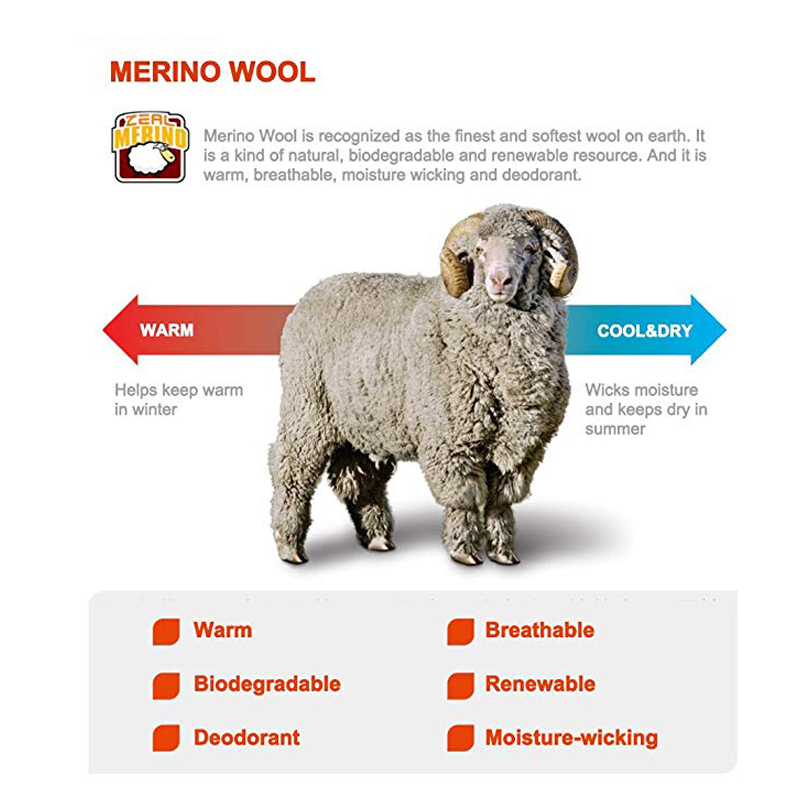 ZEALWOOD Hiking Trekking Men's - Wool Hiking Sock บทวิจารณ์และราคา