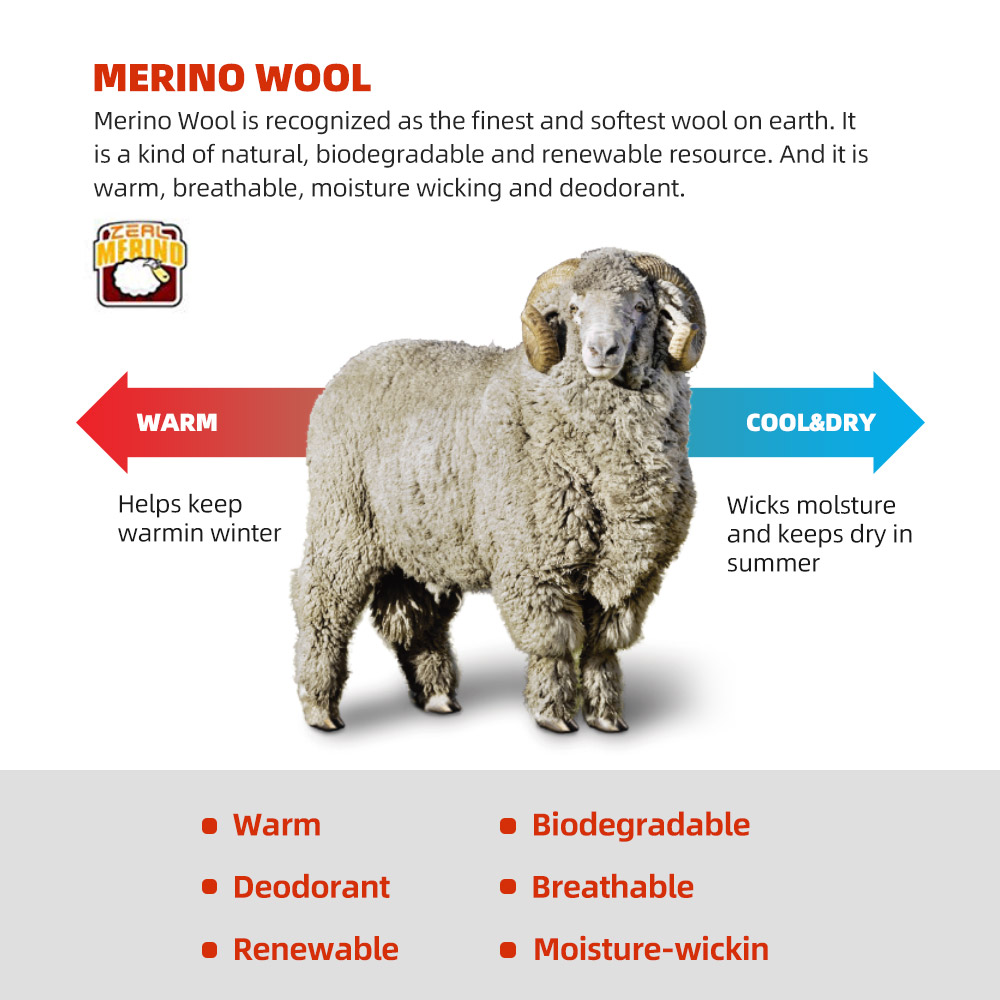 ZEALWOOD Merino Wool Running S - Wool Hiking Sock บทวิจารณ์และราคา